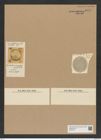 Cerataulus marginatus Grove et Sturt (de-Toni-Nr.: Genus 173, Species 4443) Zeichnungen Sammlung Grunow Nr. 8015 (NHMW-BOT-W0377315)